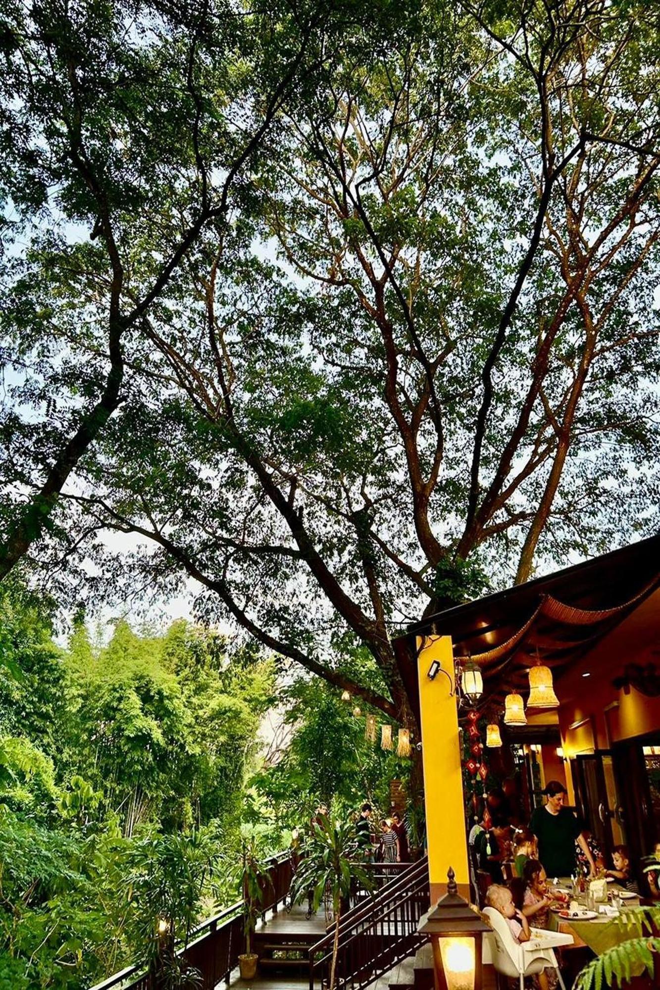 Papai Country Lodge Sha Ban Mae Pong Buitenkant foto